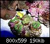         

:  billy reef 444.jpg
:  528
:  189,6 KB