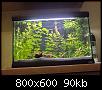         

:  Aquarium 029.jpg
:  307
:  90,1 KB