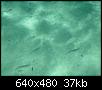         

:  PICT0116.JPG
:  310
:  36,8 KB