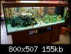         

:  aquarium_job.jpg
:  5222
:  155,3 KB