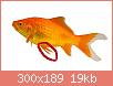         

:  comet_goldfish_2.jpg
:  335
:  19,2 KB