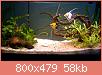         

:  aquarium 001.jpg
:  494
:  57,8 KB
