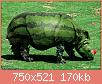         

:  Animals-or-Plants.jpg
:  472
:  170,1 KB