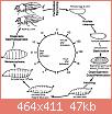         

:  drosophila-melanogaster-life-cycle.jpg
:  414
:  46,6 KB