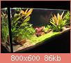         

:  plants 131.jpg
:  591
:  86,4 KB
