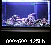         

:  Nano reef 02.jpg
:  769
:  125,4 KB