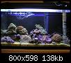         

:  Nano reef 05.jpg
:  1045
:  137,7 KB