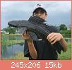         

:  pleco.jpg
:  286
:  15,0 KB