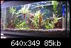         

:  aquarium640.jpg
:  407
:  84,5 KB