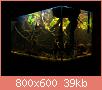         

:  aquarium2.jpg
:  402
:  38,5 KB
