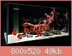         

:  16_1aquarium_red_discus_fishtank.jpg
:  716
:  49,5 KB