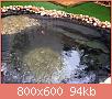         

:  pond (36).jpg
:  1465
:  94,5 KB