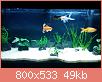        

:  aquarium_2.jpg
:  779
:  49,2 KB