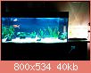         

:  aquarium_3.jpg
:  709
:  39,8 KB