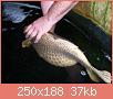         

:  fat_fish_0710-01.jpg
:  295
:  37,3 KB