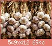         

:  garlic.jpg
:  462
:  68,9 KB