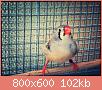         

:  aviary-image-1469797948924.jpg
:  231
:  102,2 KB