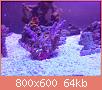         

:  14446277_688005798022023_1889954150_o.jpg
:  357
:  64,4 KB