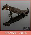         

:  RedEyeCrocodileSkink__79843.1404761708.1280.1280.jpg
:  759
:  38,0 KB