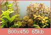         

:  plants.jpg
:  1279
:  64,8 KB