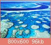        

:  coral 2.jpg
:  610
:  95,5 KB