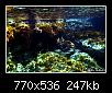         

:  under water2.jpg
:  248
:  246,7 KB