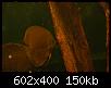         

:  3.JPG
:  401
:  150,0 KB