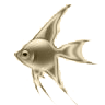 PDT Fish 11