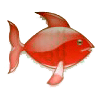 PDT Fish 21